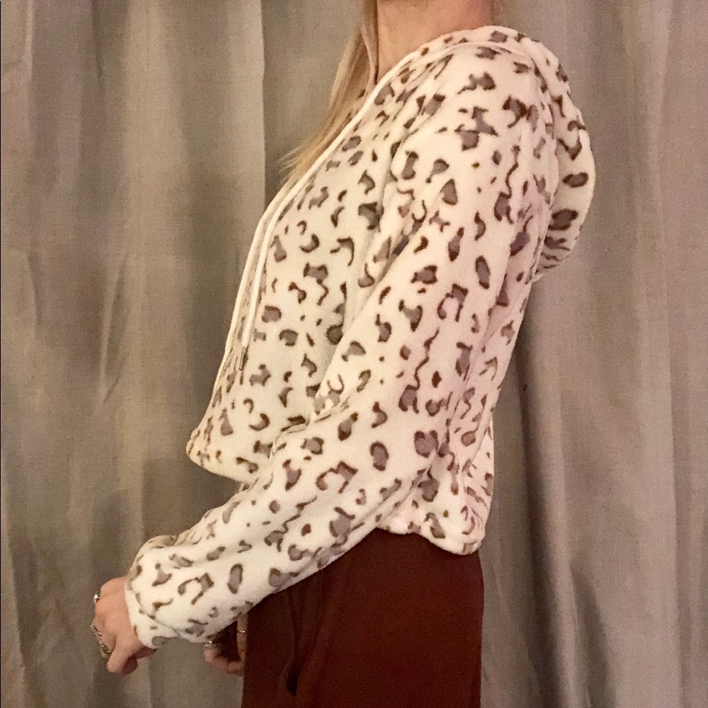 NEW Leopard Teddy - Picture 4 of 8